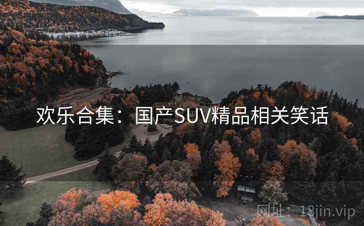 欢乐合集：国产SUV精品相关笑话