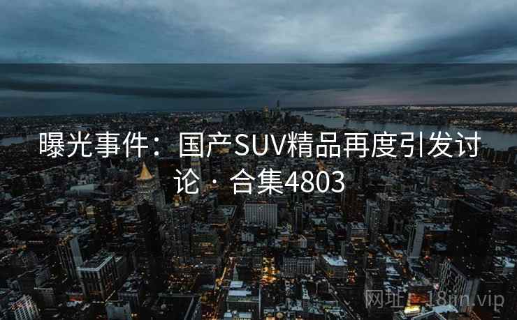 曝光事件：国产SUV精品再度引发讨论 · 合集4803