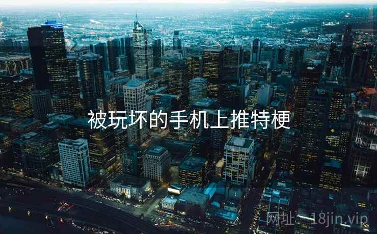 被玩坏的手机上推特梗 被玩坏的手机上推特梗