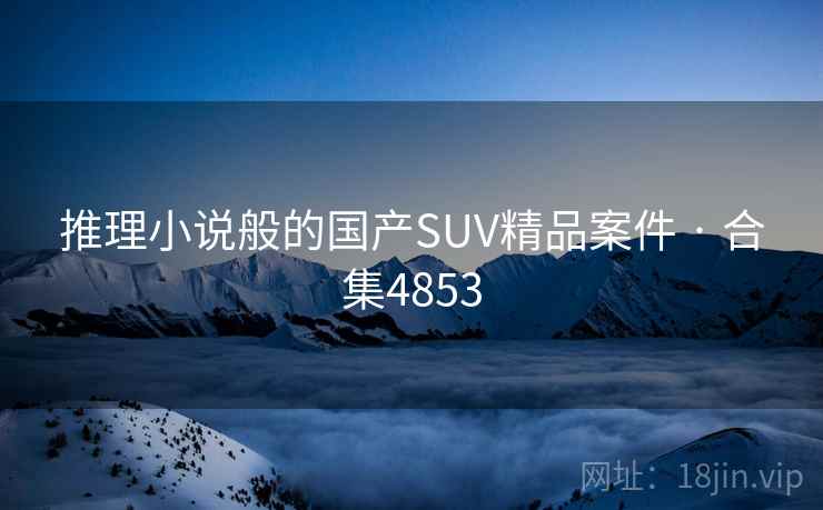 推理小说般的国产SUV精品案件 · 合集4853